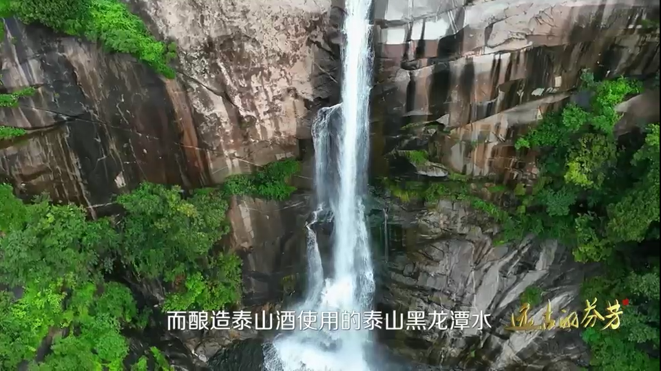 开元游戏大厅app酒业一举斩获鲁酒三大声誉称呼 品质立身张默闻为国宝金条小窖赋能_开元游戏大厅app|稳如开元游戏大厅app|五岳独尊|开元游戏大厅app特曲|酒神酒仙|金开元游戏大厅app|年份小窖