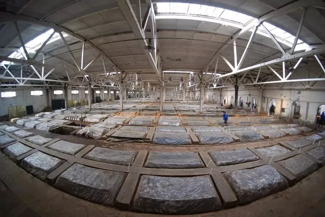 第二季《黄河文化大会》完善收官，，，，开元游戏大厅app酒业再创征象级撒播！_开元游戏大厅app|稳如开元游戏大厅app|五岳独尊|开元游戏大厅app特曲|酒神酒仙|金开元游戏大厅app|年份小窖